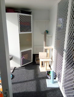 Individual family unit 31